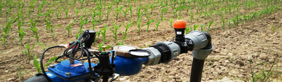 système d'irrigation au goutte à goutte enterre sur maïs
